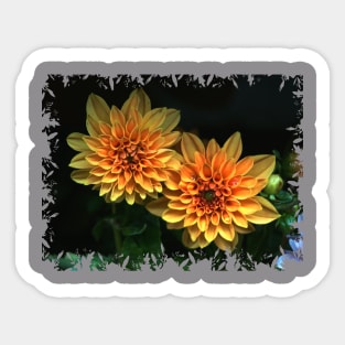 Orange Dahlia Sticker